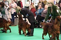 Crufts2011 736